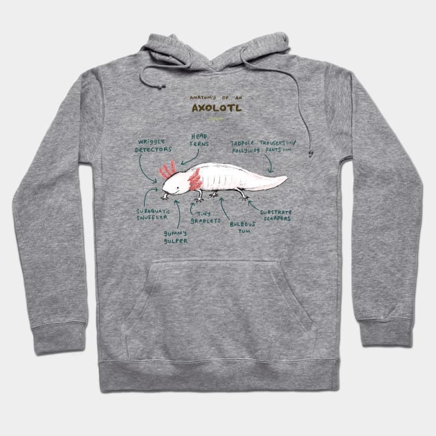 Anatomy of an Axolotl Hoodie by Sophie Corrigan